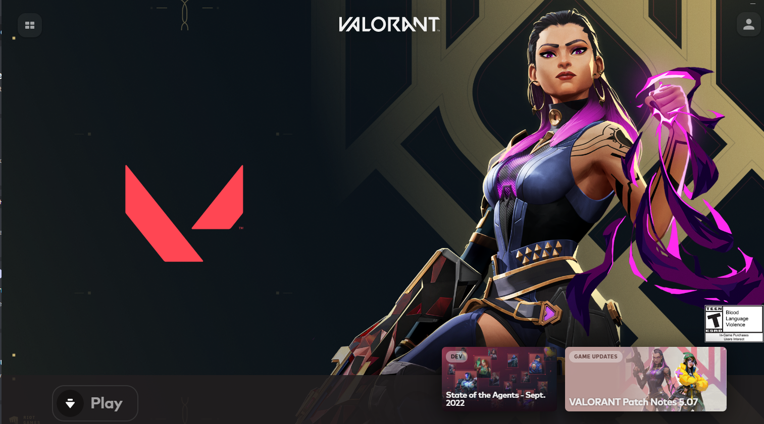 the play button in the riot games update screen is greyed out VALORANT