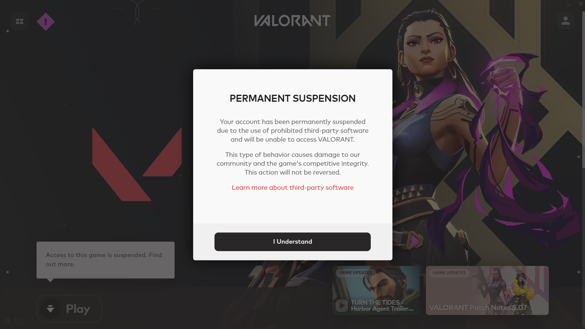 false thirdparty permanent suspension VALORANT