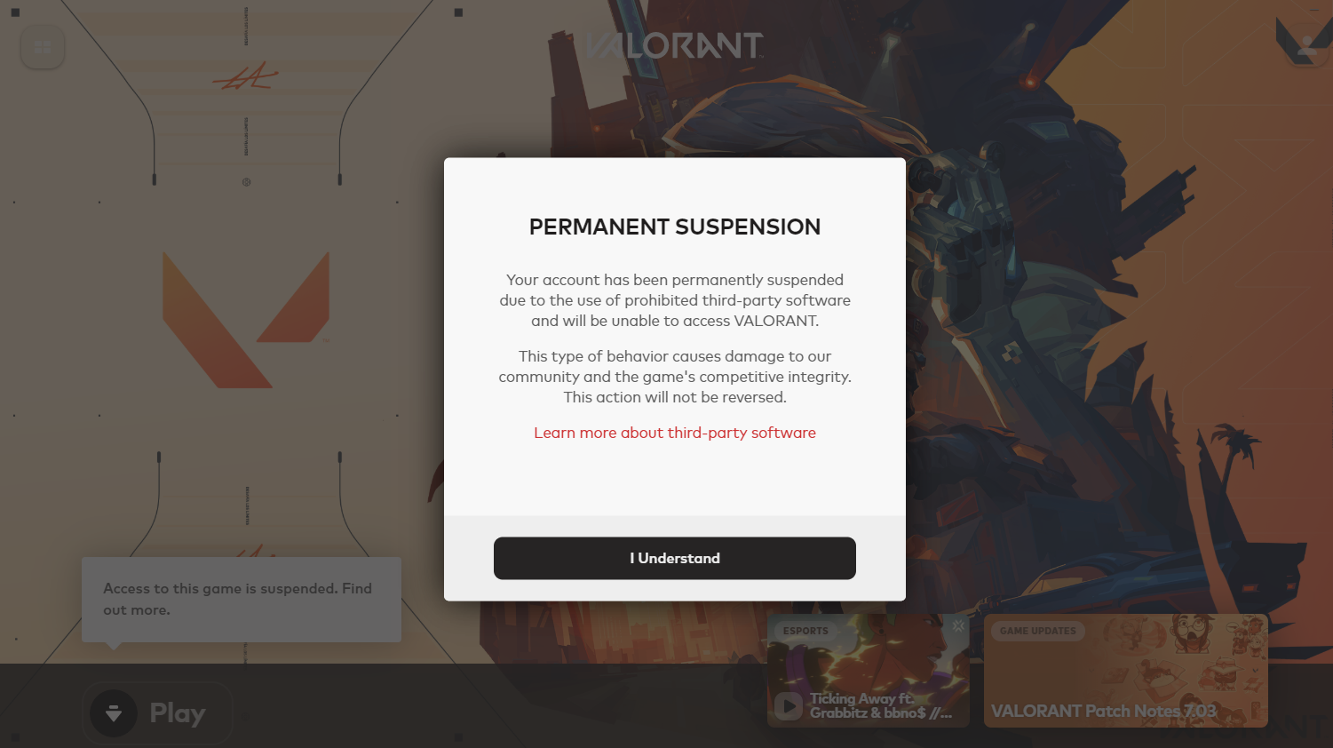 False banned in august - VALORANT